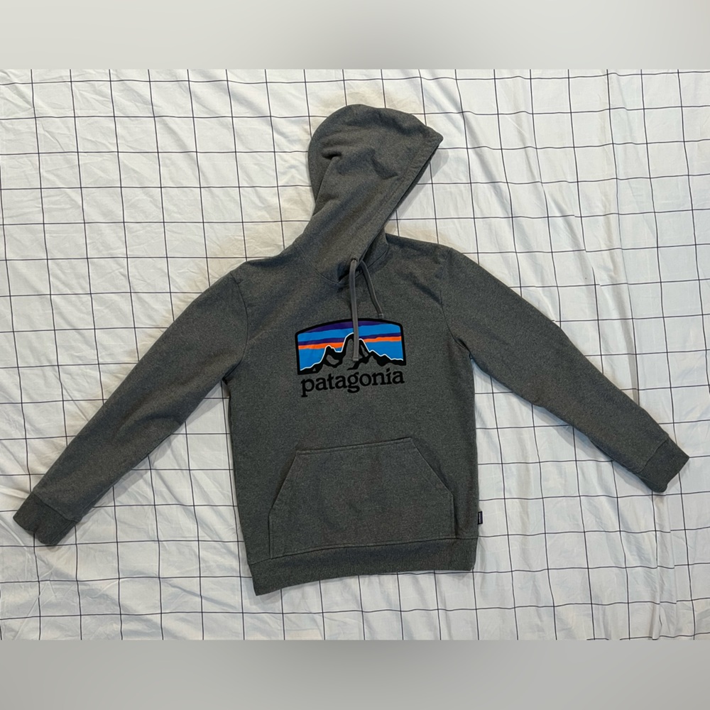 Patagonia Gray Hoodie. Size Small.